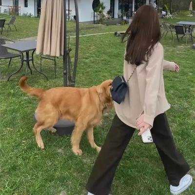 丑角爸爸